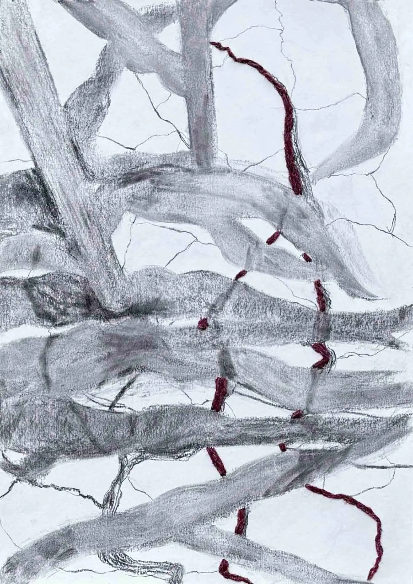 Kintsugi of the Earth, image 4