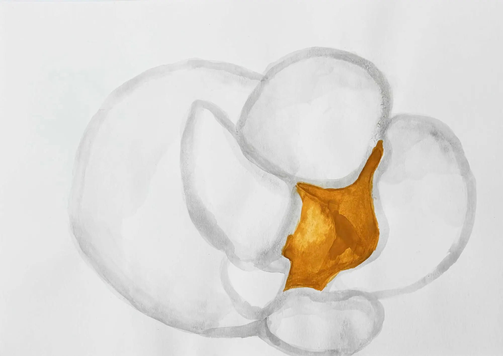 Popcorn, image 7